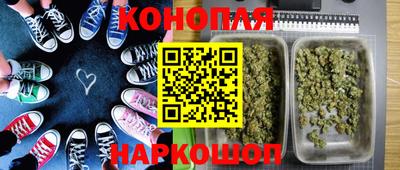 прущие грибы Малоярославец