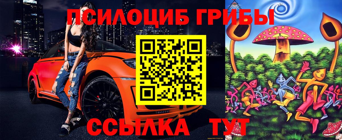Шарыпово  Галлюциногенные грибы Psilocybine cubensis  Галлюциногенные грибы мухоморы  Вход с VPN 